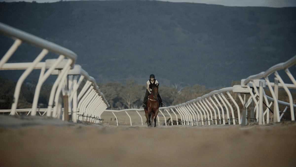 Scone Cup & Hunter Valley Stallion Tour Experience
