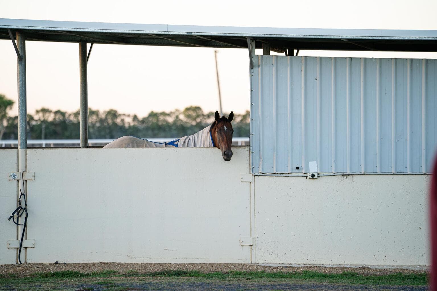 Ruddy Racing | Recent Purchases & Stable Growth